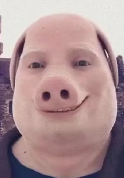 Meme heo ăn là sống