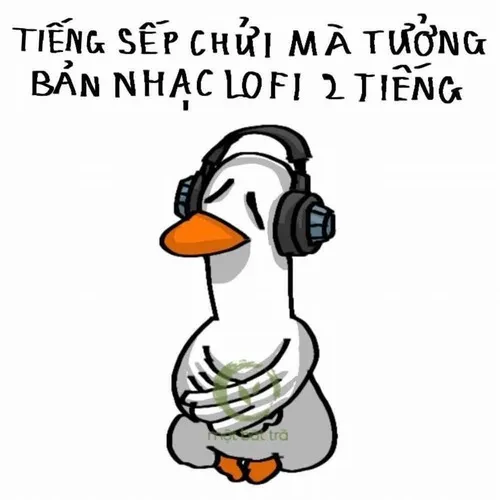 Vịt Facebook