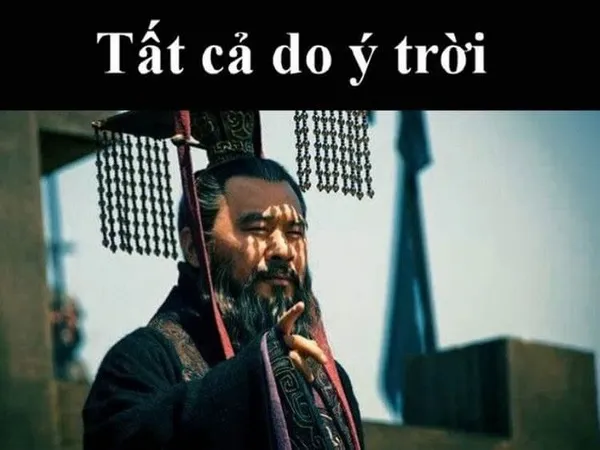 Meme tất cả là do ý trời