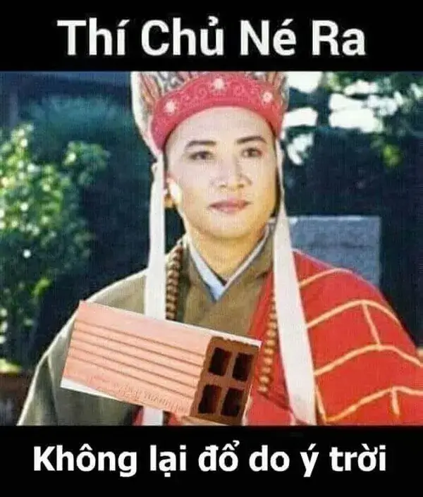 Meme buông xuôi