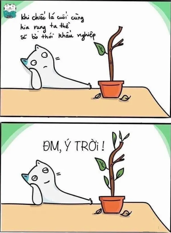 Meme dở khóc dở cười