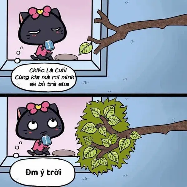 Meme số phận trêu ngươi