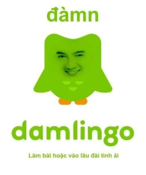 Ảnh Duolingo meme