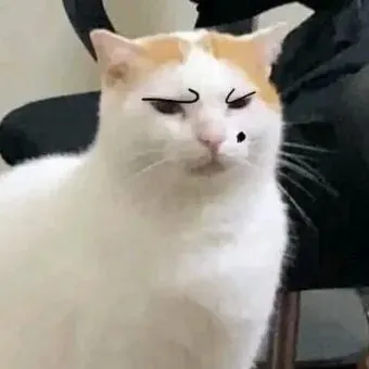 Bộ 50 ảnh Meme Ánh Mắt Phán Xét giúp bạn đánh giá, soi xét một cách mỉa mai đầy tinh tế