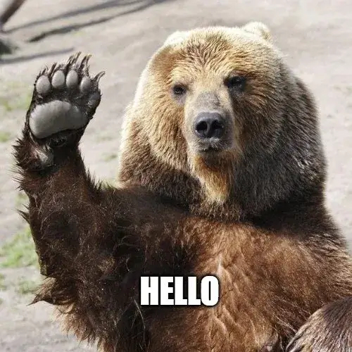 Ảnh meme chào hài hước Meme xin chào dễ thương