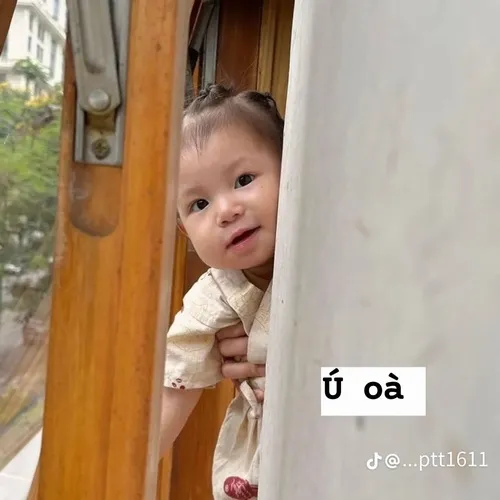 Meme xin chào cute Meme xin chào đáng yêu