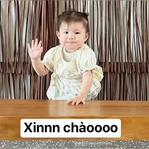 Meme xin chào TikTok Meme xin chào viral TikTok