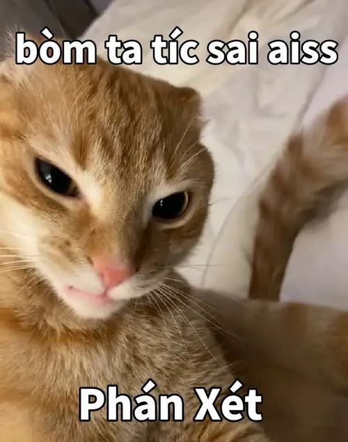 Story » 60 Meme Đánh Giá hài hước hợp khi phê bình nhận xét một cách dí dỏm vui nhộn