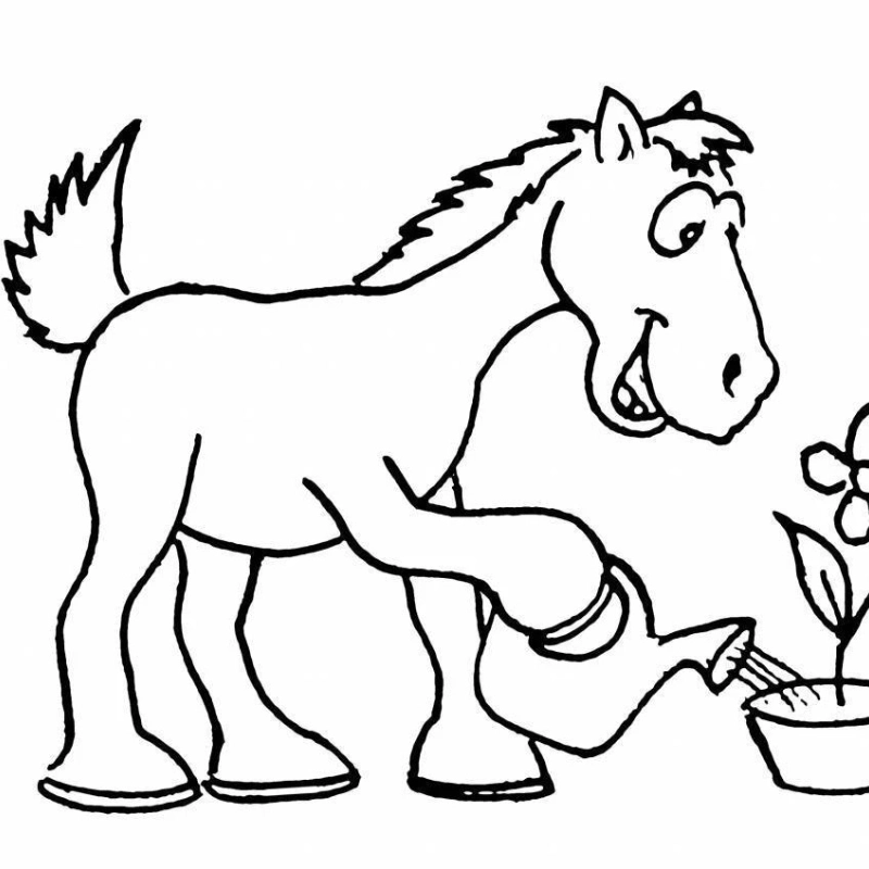 Meme vẽ ngựa hài