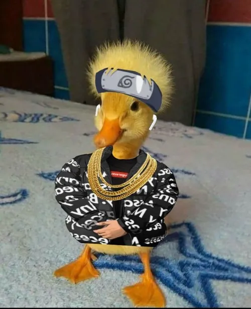Vịt meme ngầu