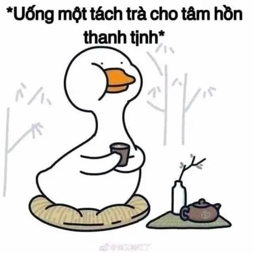 Vịt đứng ngơ