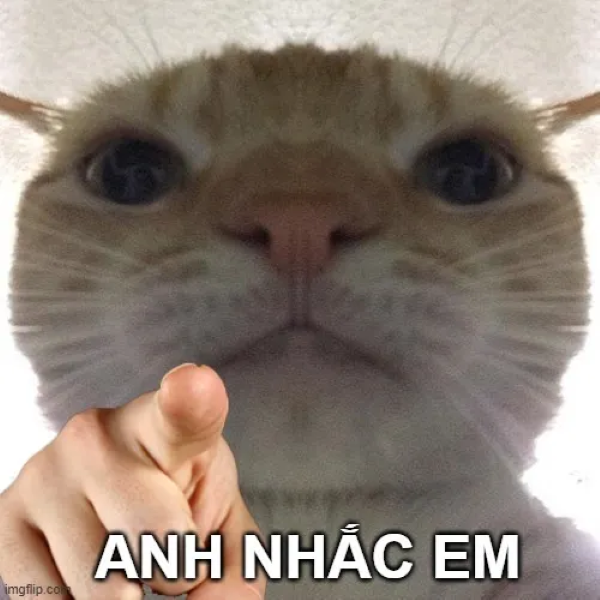 Anh nhắc em meme mèo