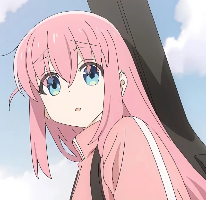 Bocchi meme template