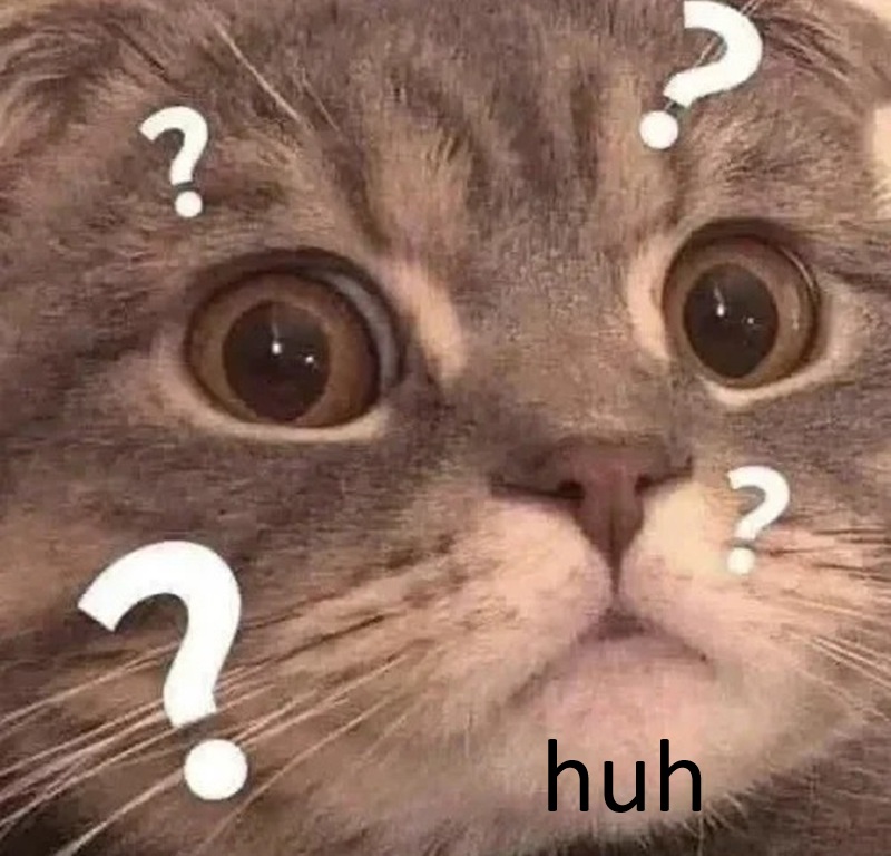 Huh Cat meme