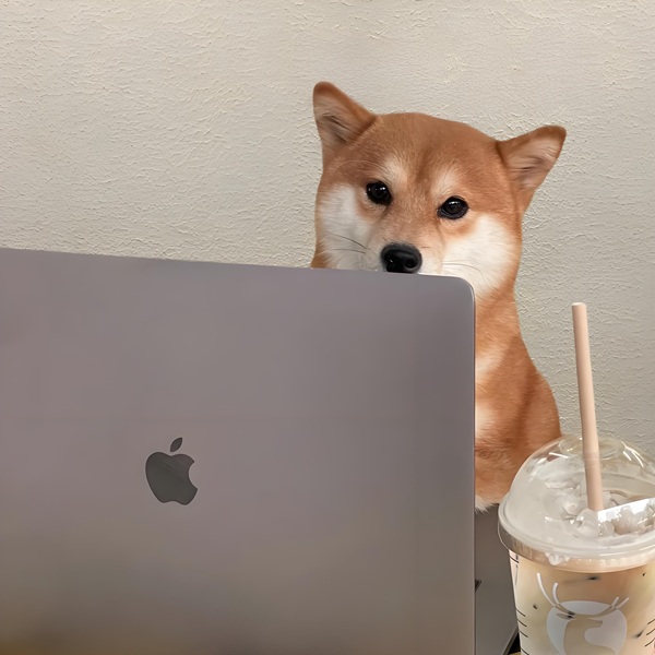 Chạy deadline meme chân thực