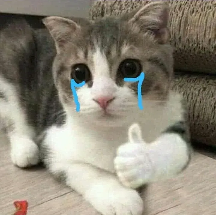 Cry meme cat