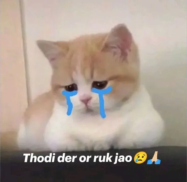 Crying cats meme