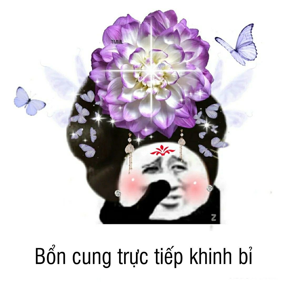 Meme khen đẹp