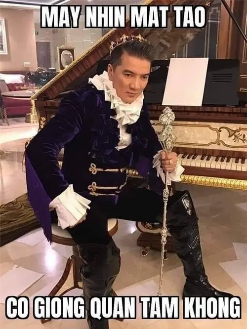 Ảnh chế Đàm Vĩnh Hưng Meme