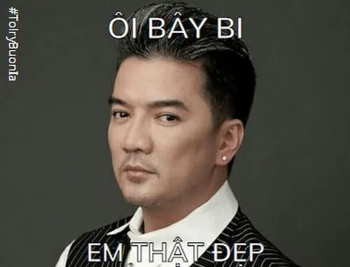 Đàm Vĩnh Hưng meme hài hước