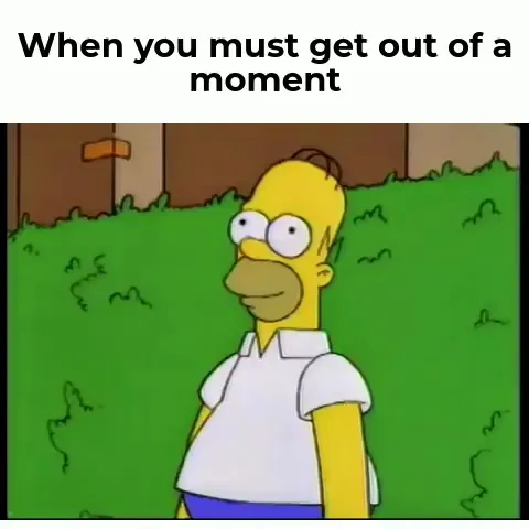 Disappearing Into Bushes meme