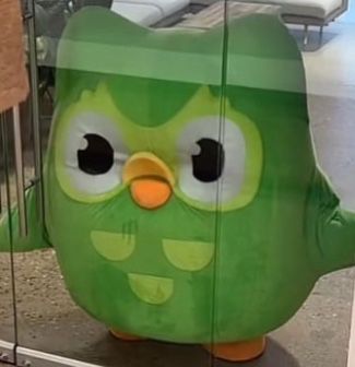 Duolingo meme được nhiều bạn trẻ yêu thích nhờ sự đáng yêu của chú chim xanh