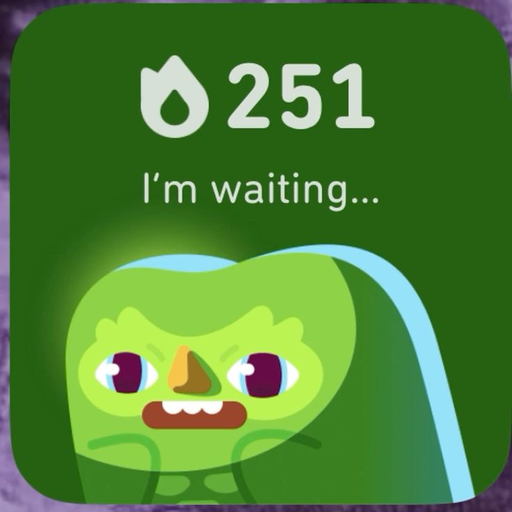 Duolingo meme trở thành biểu tượng chế ảnh dễ thương nổi bật trong đời sống mạng