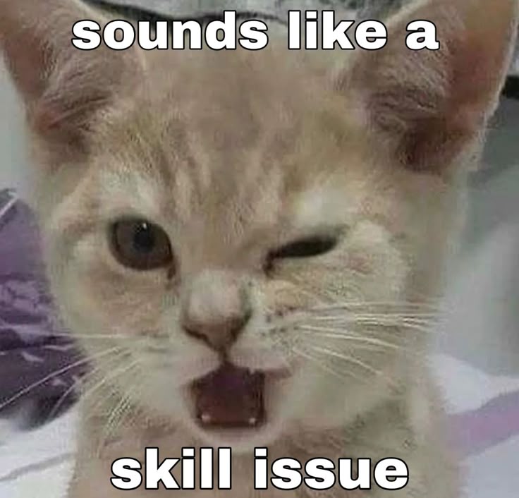 skill issue