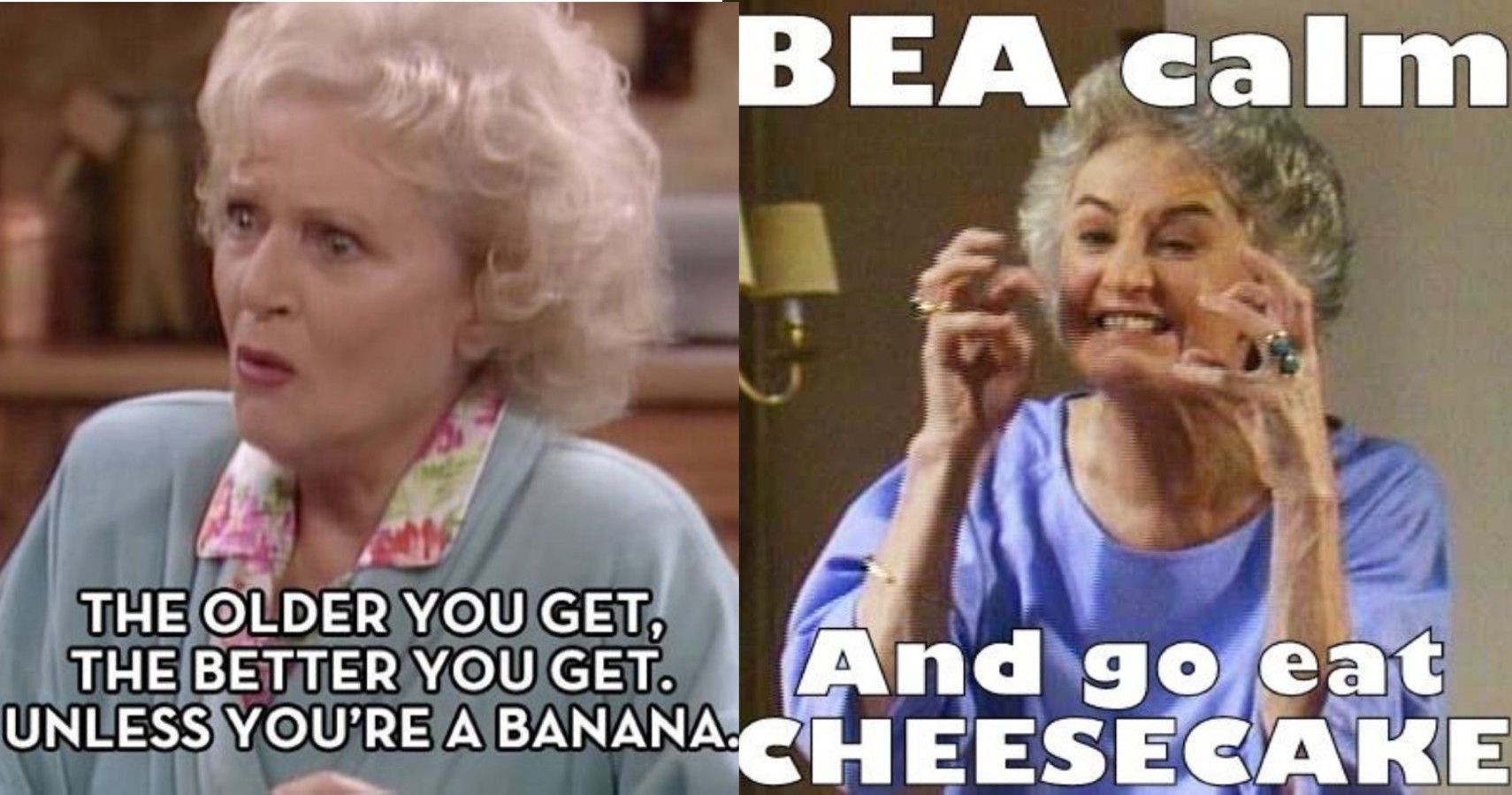 Golden Girls women meme
