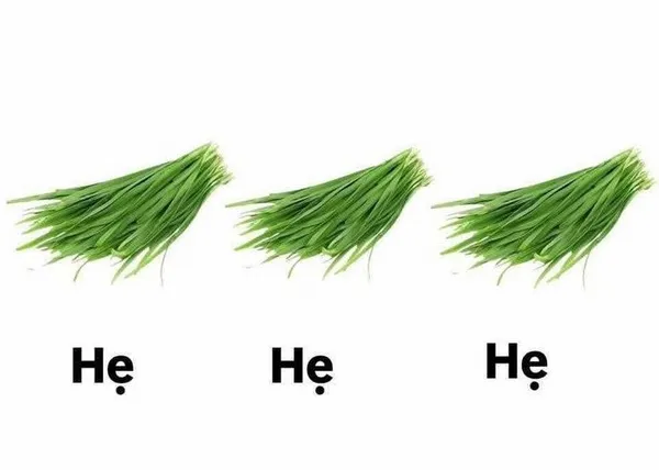 Meme hẹ hẹ hẹ Tú Sena