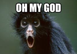 Oh my god - Monkey Omg - quickmeme
