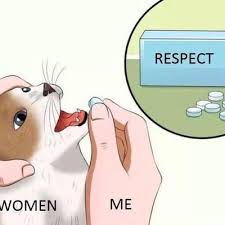 Respecting women meme