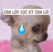 Dog cạn lời meme