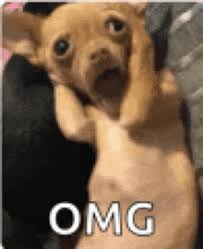 Omg GIFs | Tenor