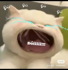 Meme Đói Bụng | TikTok