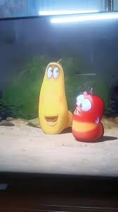 Oi oi oi TikTok original