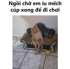 Chú Gấu Phê Pha 🐻🍺 | Ngoan ngoãn ngồi đợi =)))) 😌 | Instagram