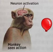 Neuron activation meme game