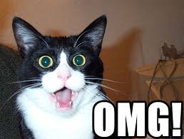 Интересный факт…Аббревиатура OMG (Oh my God) как ...» / Lingvo Live