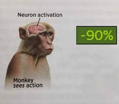 Meme Neuron Activation