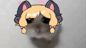 Momoi meme collection