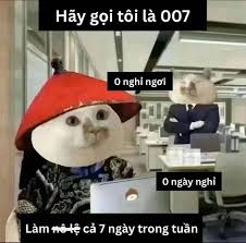 Meme đối đáp với sếp