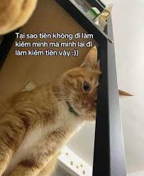 Meme mỗi ngày đi làm