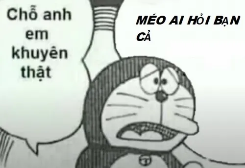 Meme ai hỏi dập tắt tranh cãi