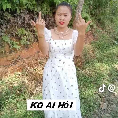 Meme ai hỏi TikTok