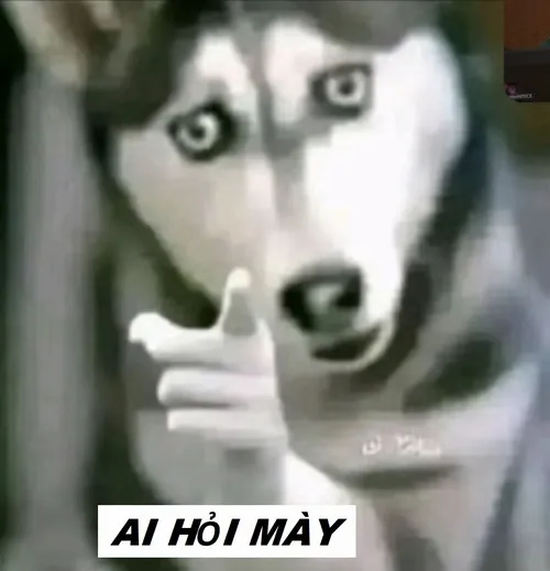 Meme ai hỏi phản xạ