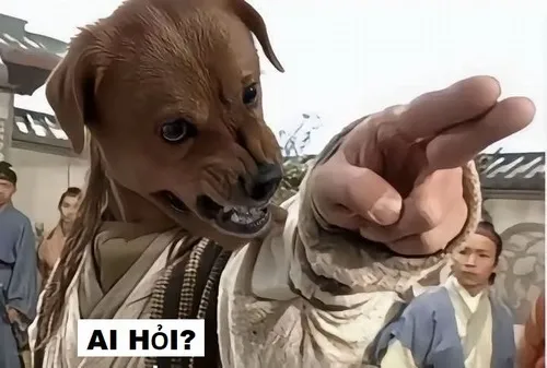 Meme ai hỏi nói nhiều