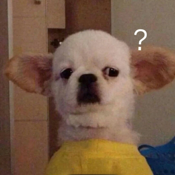 Meme ảnh chó hỏi chấm
