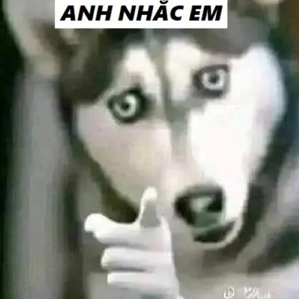 Meme anh nhắc em