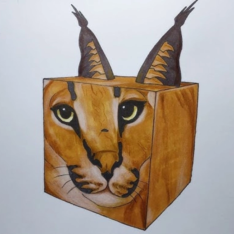 Meme sea vẽ biển